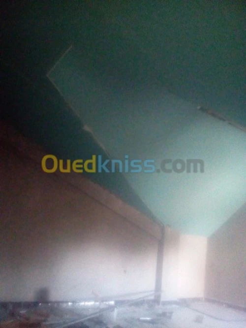 tout travaux de BA13 BA10 plafant pvc 