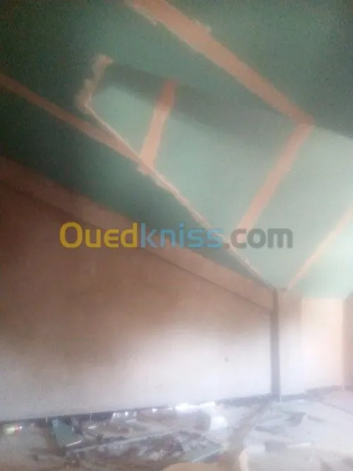 tout travaux de BA13 BA10 plafant pvc 