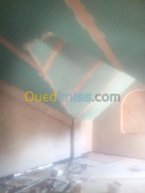 tout travaux de BA13 BA10 plafant pvc 