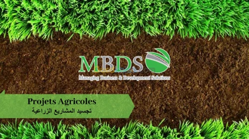 Business plan-خطة مشروع