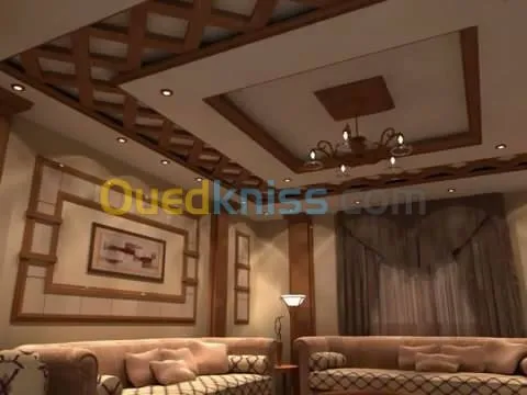 ديكورات بلاكوبلاتر BA13