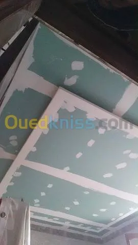 ديكورات بلاكوبلاتر BA13