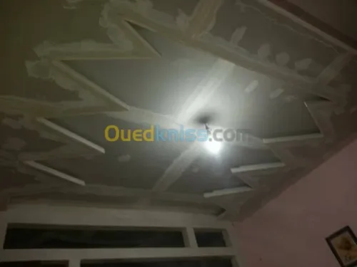 ديكورات بلاكوبلاتر BA13