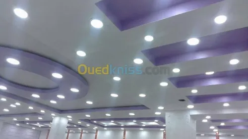 ديكورات بلاكوبلاتر BA13