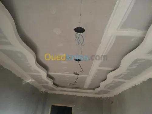 ديكورات بلاكوبلاتر BA13
