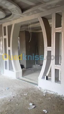 ديكورات بلاكوبلاتر BA13