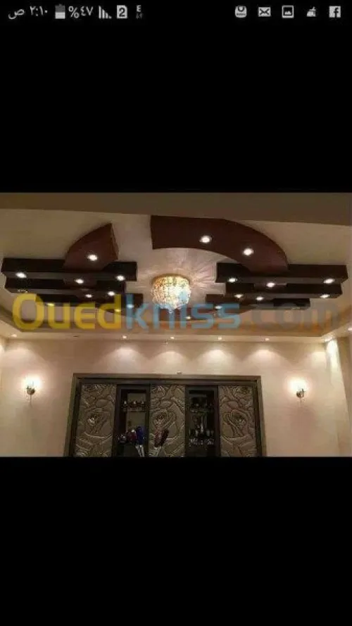 ديكورات بلاكوبلاتر BA13