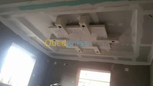 ديكورات بلاكوبلاتر BA13