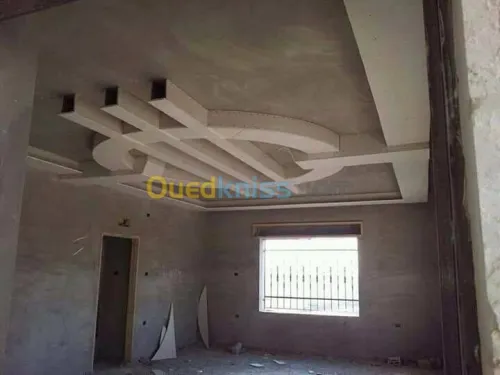 ديكورات بلاكوبلاتر BA13