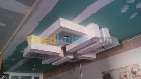 ديكورات بلاكوبلاتر BA13