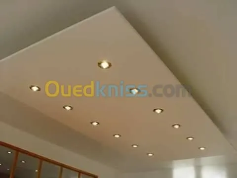 ديكورات بلاكوبلاتر BA13