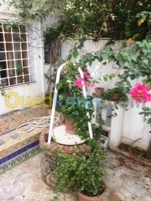 Location Villa Alger Cheraga