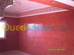 Placoplatre BA13, peinture,Plomberie