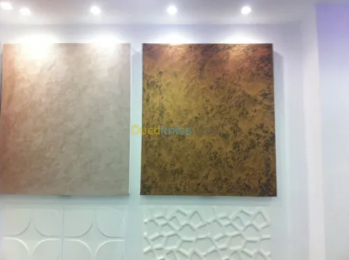 Placoplatre BA13, peinture,Plomberie