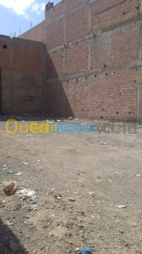 Vente Terrain Ain temouchent El amria