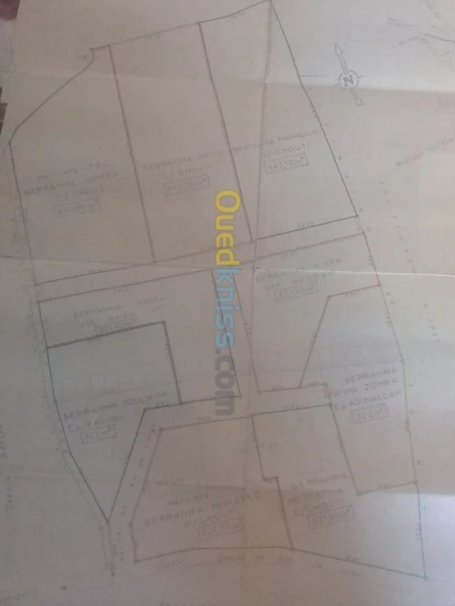 Vente Terrain Tlemcen Tlemcen