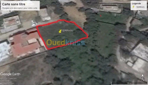 Vente Terrain Blida Blida