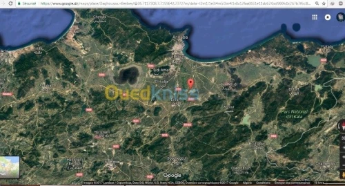 Vente Villa El taref Drean