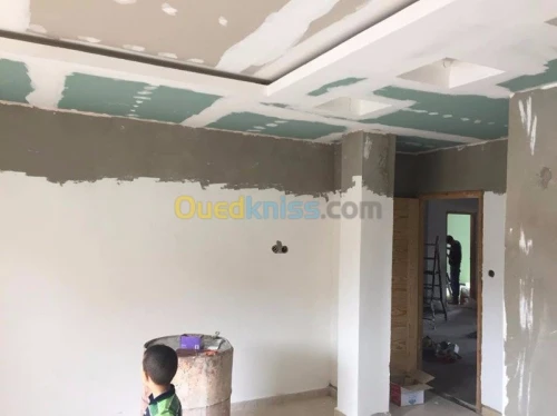 decore/designe placoplatre(BA13)