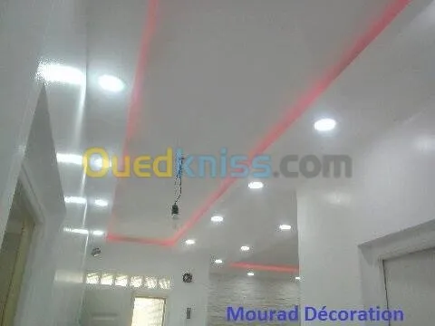 ba13 faux plafonds pvc et revetement 
