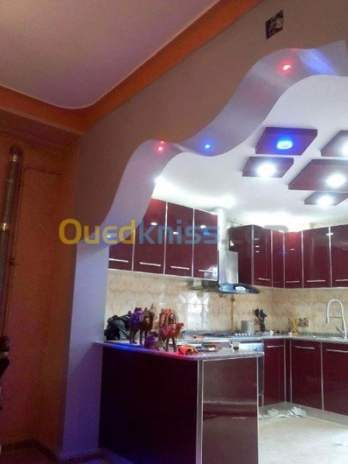 placo platre pvc ba13 