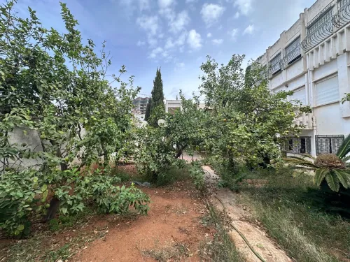 Vente Terrain Alger Birkhadem
