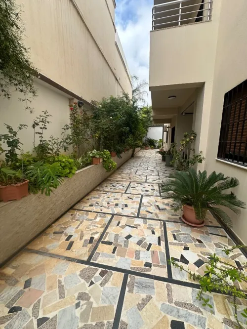 Location Appartement Penthouse F5 Alger Birkhadem