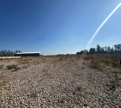 Location Terrain Alger Birtouta