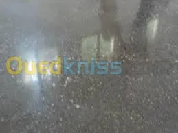  poncage lustrage ded sols 