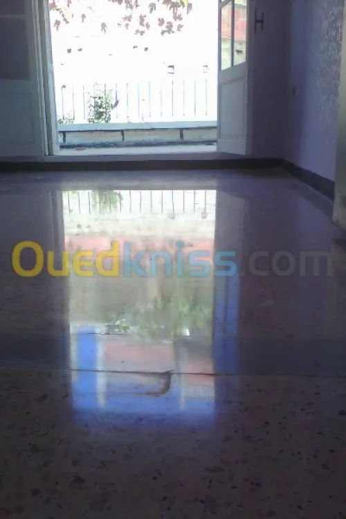 nettoyage et ponsage