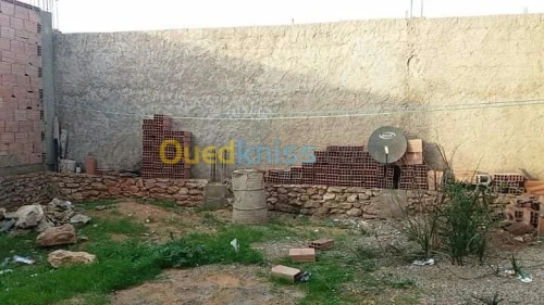 Vente Terrain Oran Ain el bia