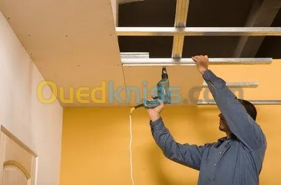 faux plaond et revetment murale placo
