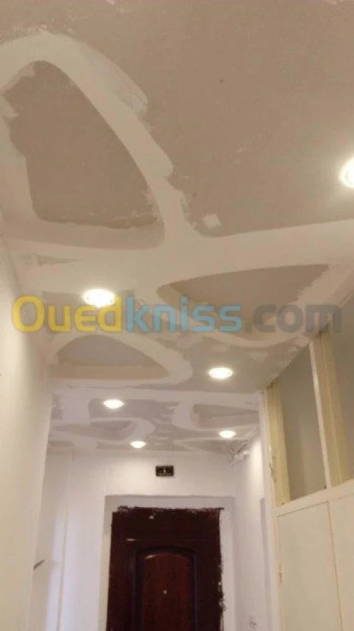 faux plaond et revetment murale placo