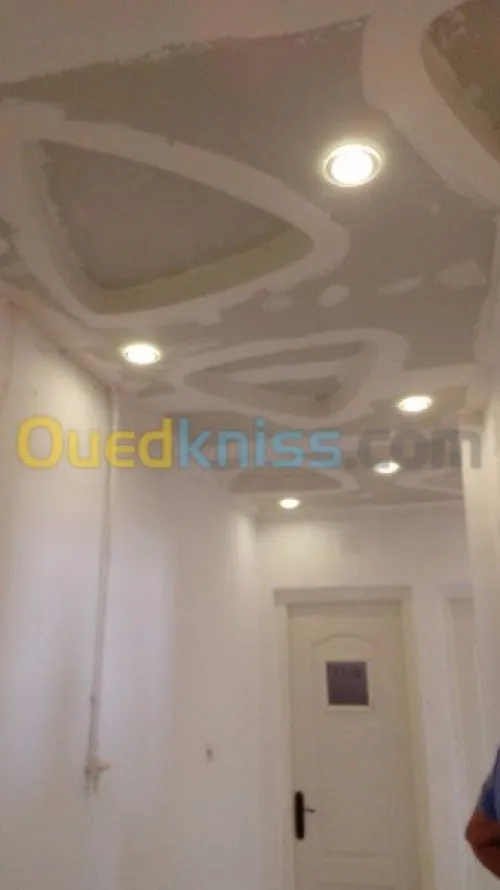 faux plaond et revetment murale placo