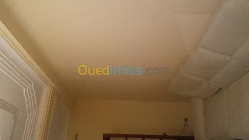 Peinture moderne , pvc , platre