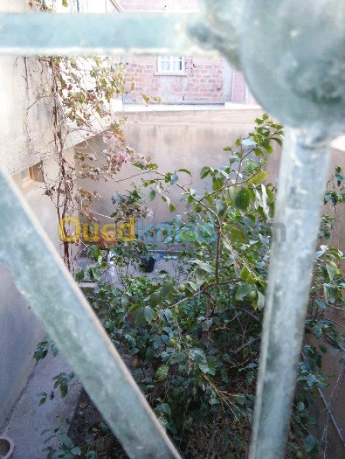 Vente Villa Batna Ain touta