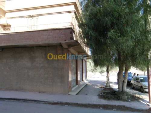 Vente Villa Batna Ain touta