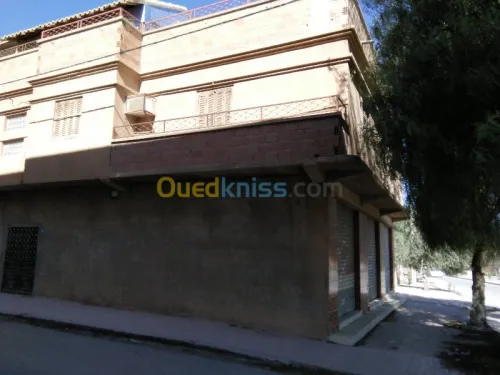 Vente Villa Batna Ain touta