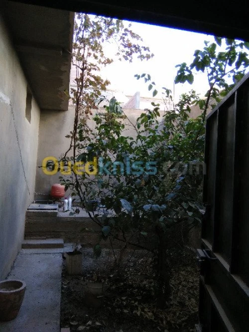 Vente Villa Batna Ain touta