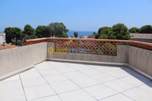 maçon & piscine étanchéité madrier