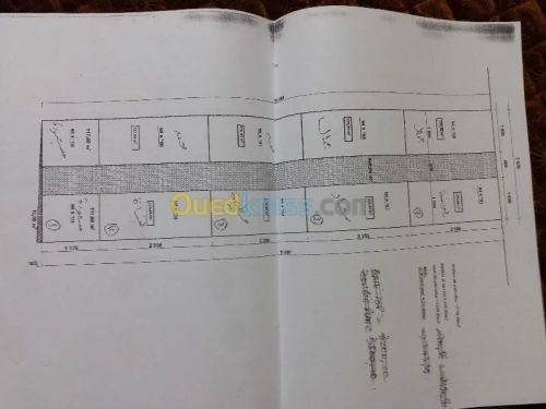 Vente Terrain Biskra Biskra