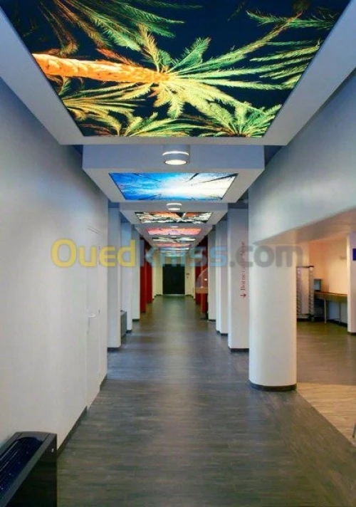 Décoration d'intérieur et application