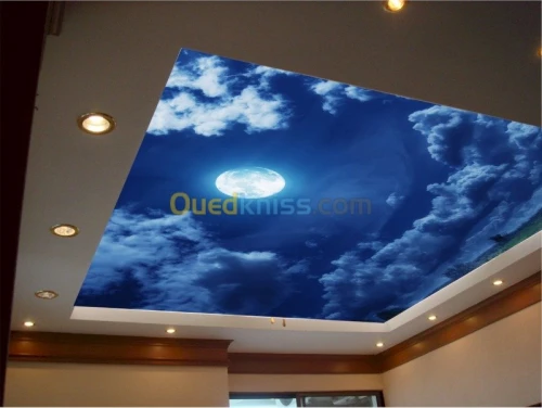 Décoration d'intérieur et application