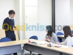 enseignement des langues