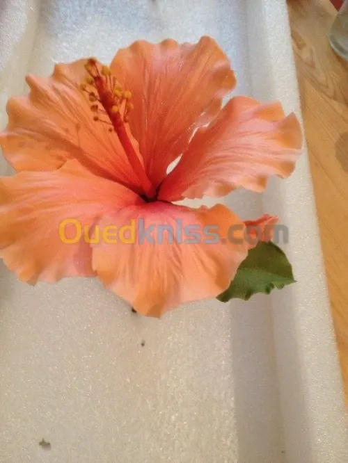 Formation de cuisine et pâtisserie