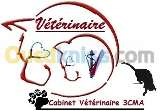 vétérinaire : chirurgie et médecine 