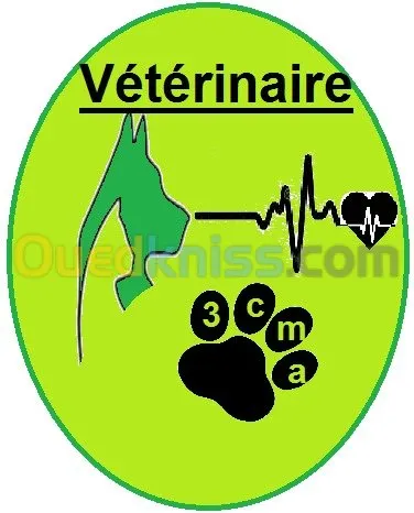 vétérinaire : chirurgie et médecine 