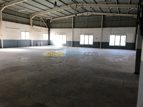 Location Hangar Alger Dar el beida