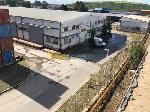 Location Hangar Alger Dar el beida