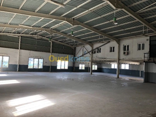 Location Hangar Alger Dar el beida